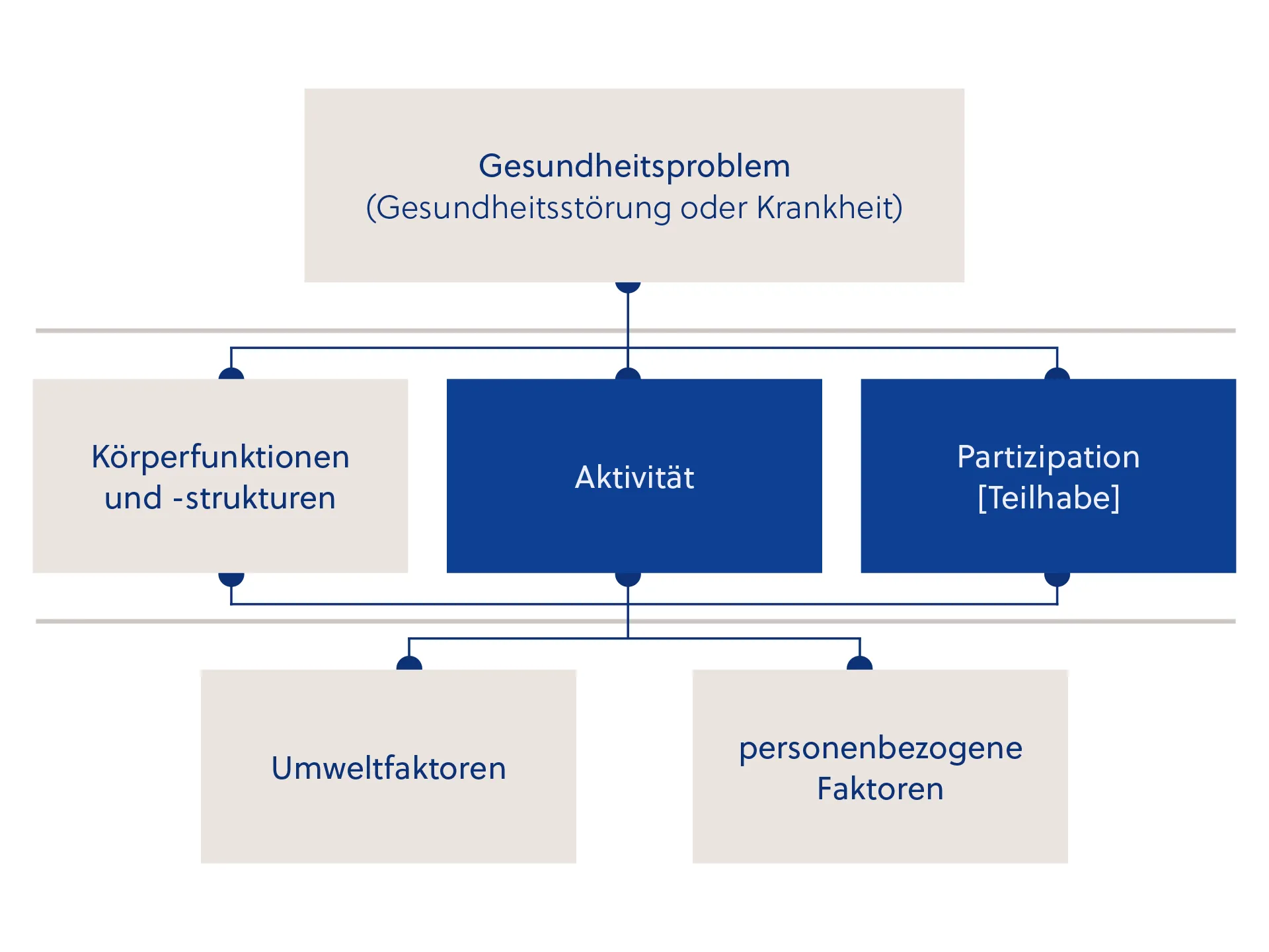 ICF-Plan und Wechselwirkungen Komponenten